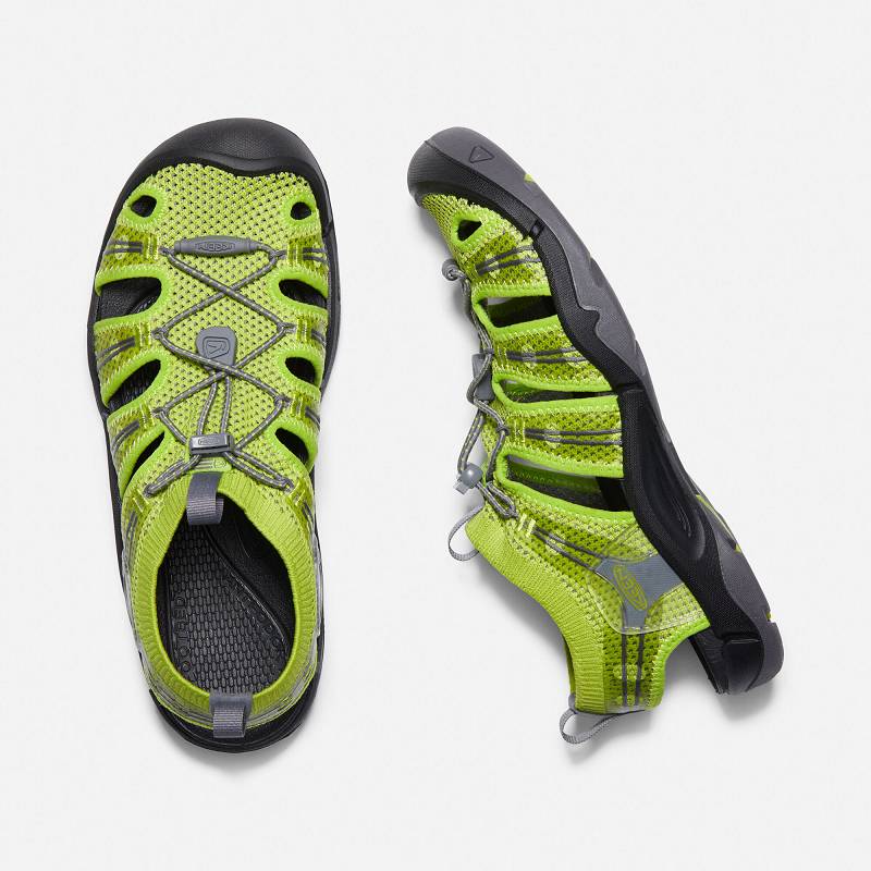 Keen EVOFIT One Trekkingsandalen Herren DE-30175 Chartreuse/Steel Grey - Keen Herrenschuhe Grün